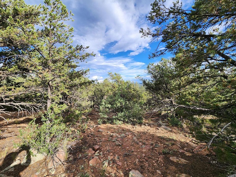 44th Trl, Cotopaxi, CO 81223 Zillow