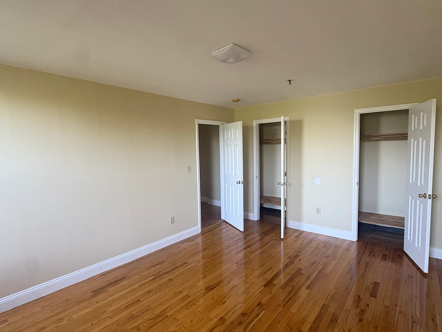 1 bed, 800 sqft, $2,600 — Photo 2