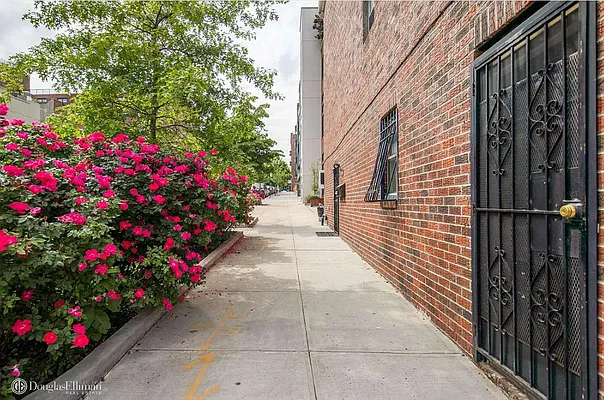 Rented by Douglas Elliman | media 10