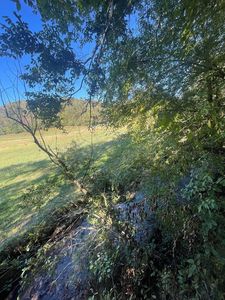 494 McCollum Rd, Ellijay, GA, 30540