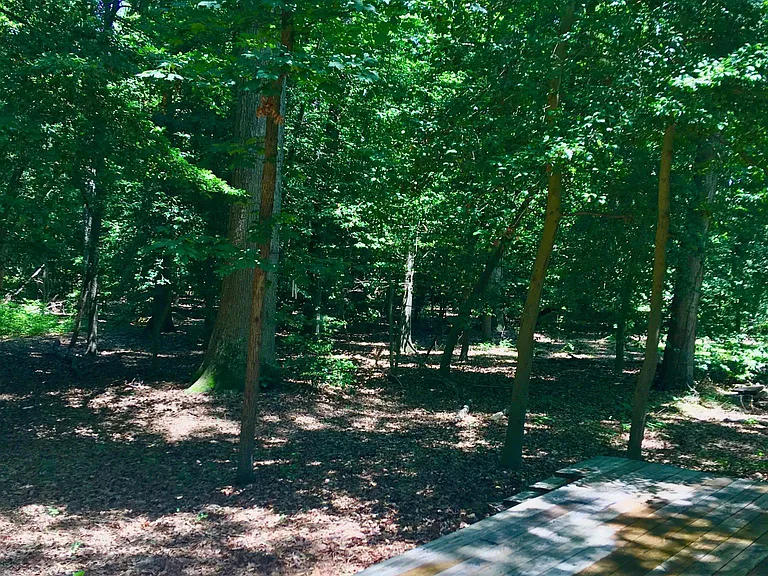 111 Fox Run Ln — Photo 15