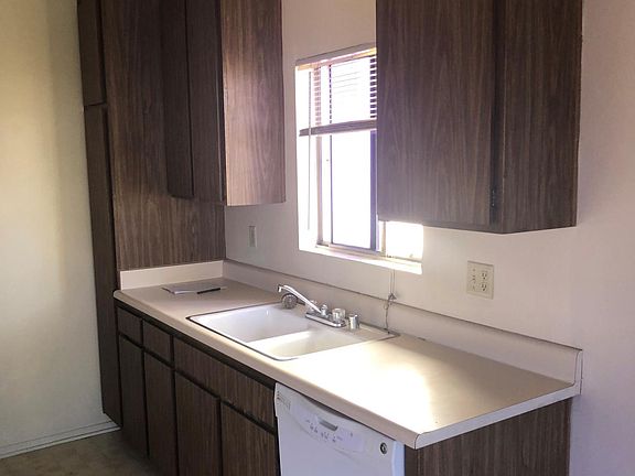 Kitchen (Sink & Dishwasher)