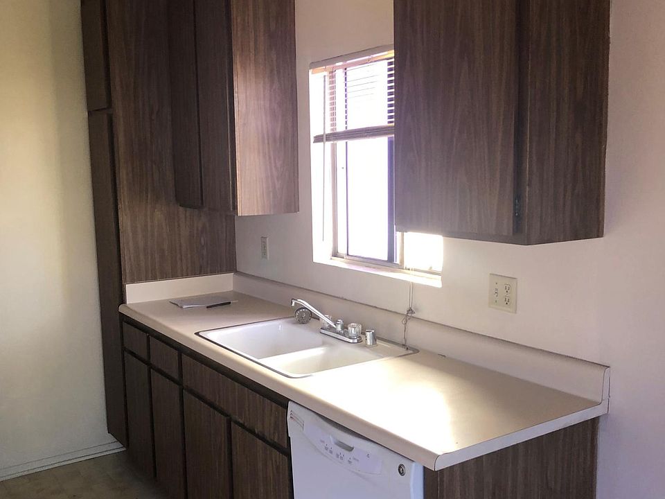 Kitchen (Sink & Dishwasher)