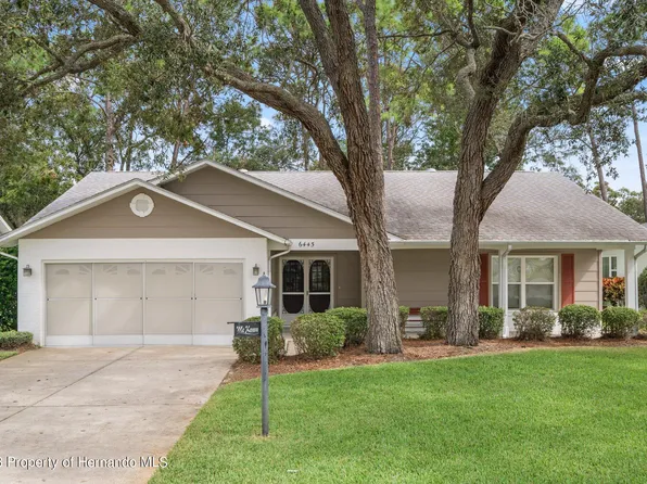 6445 Lost Tree Ln, Spring Hill, FL 34606