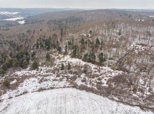 304 Lamb Rd, Lisle, NY 13797