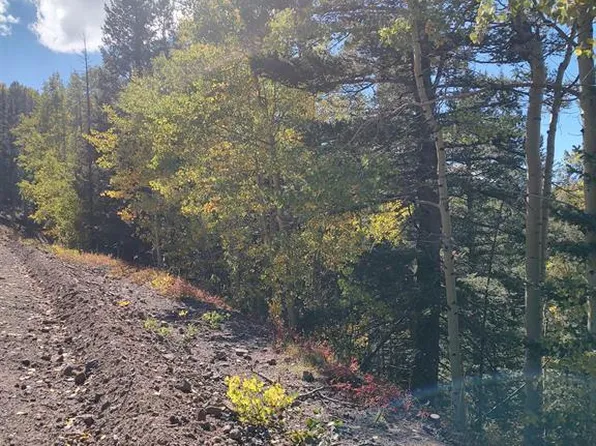  LOT 5374 Adams Road, Fort  Garland, CO 81133