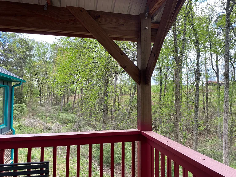 View from Deck