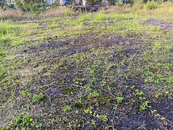3rd image of 16-2083 Ohia Dr Lot 37
