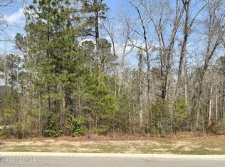 9679 Red Raspberry Rd, Leland, NC 28451