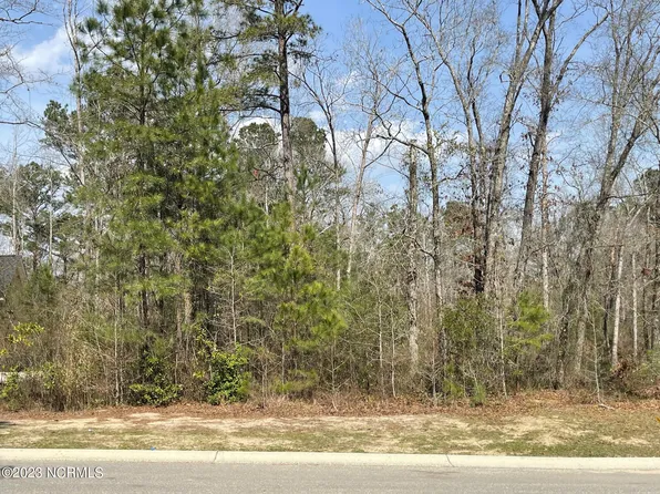 9679 Red Raspberry Road, Leland, NC 28451