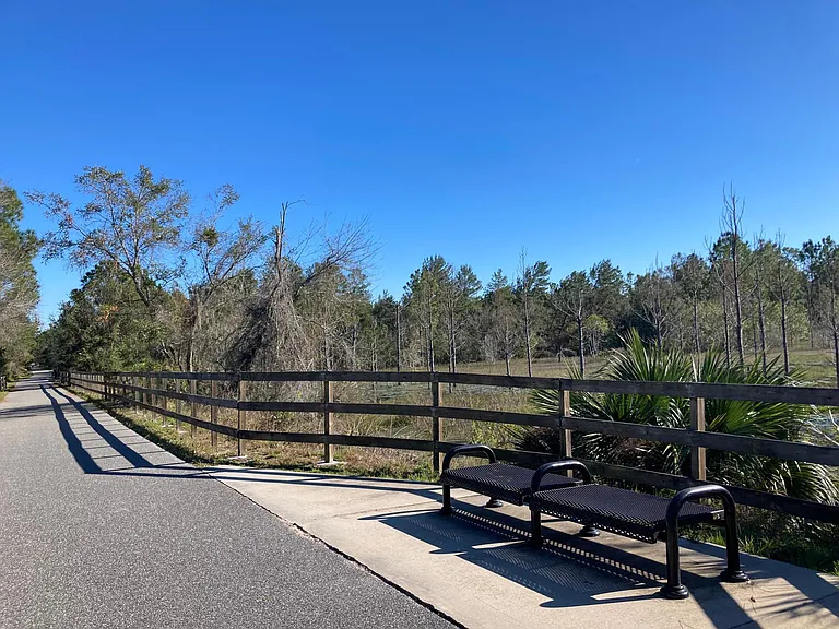 1228 Winter Gray Cir — Photo 19