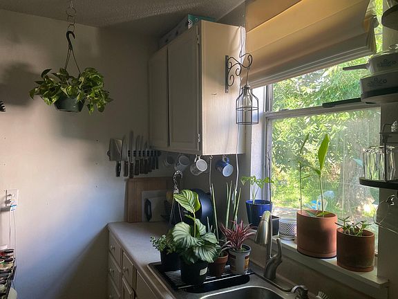 3rd image of 522 Tricou St