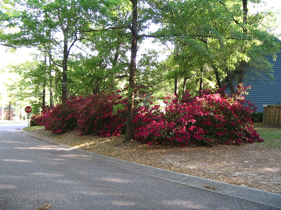 35215 Blakeley Oaks Dr W, Spanish Fort, AL 36527 Zillow