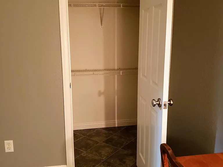 Downstirs Bedroom with Walk-in Closet