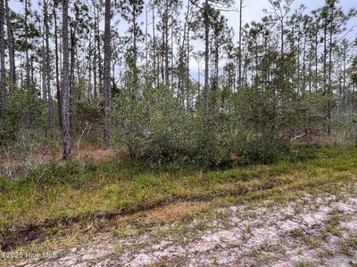 349 Magnolia Road, Southport, NC, 28461