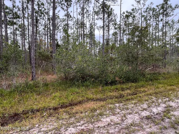 349 Magnolia Road, Southport, NC 28461