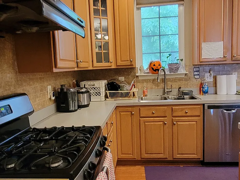 13704 Harvest Glen Way #1 — Photo 41