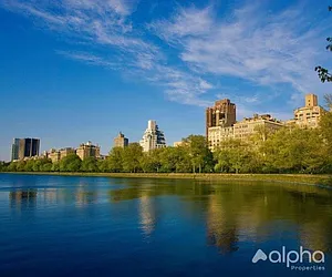 Rented by Alpha Properties NYC I LLC