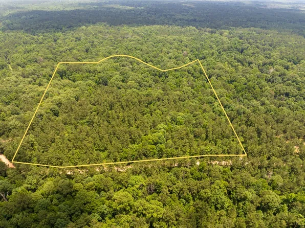 2 Posey Webb Camp Rd, Jonesville, LA 71343