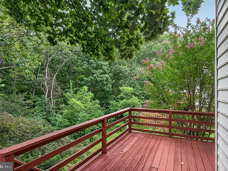 14560 Creek Branch Ct — Photo 6
