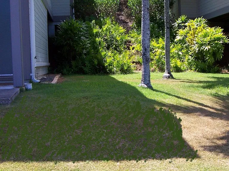 144 Kahako St #A — Photo 11