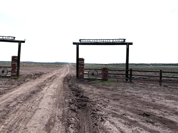 0 Coyote Run #577, St Johns, AZ 85936
