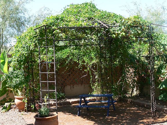 Arbor for extra shady area