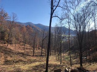 Betsys Gap Rd, Clyde, NC 28721