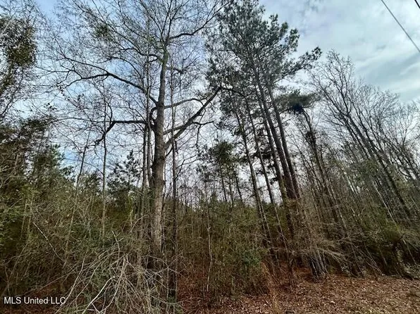 Lee Dr SE, Bogue Chitto, MS 39629