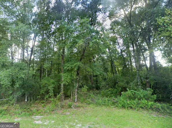 0 Dakota Ct S, Jesup, GA 31545