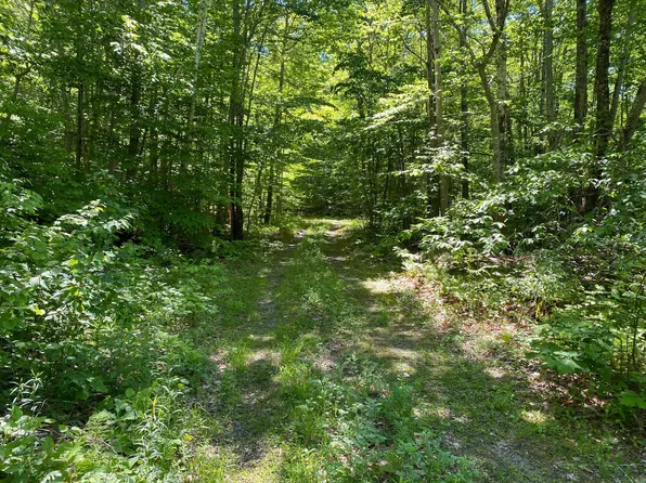 Lot 22&23 Tamarack Trail, Camden, ME 04843