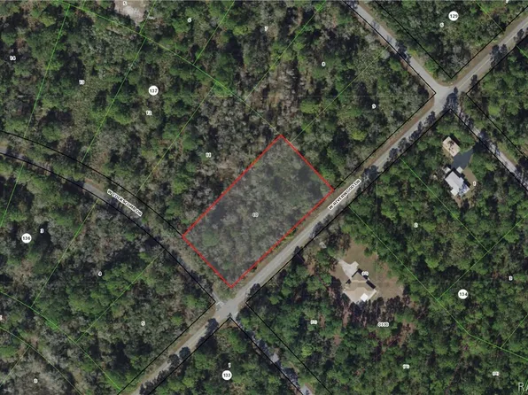 11435 N Cockscomb Dr, Crystal River, FL 34428