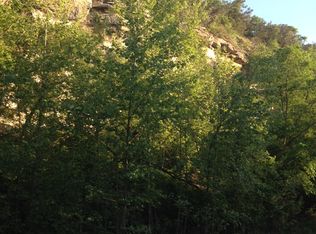 110 Lange Ravine Rd, Hunt, TX 78024
