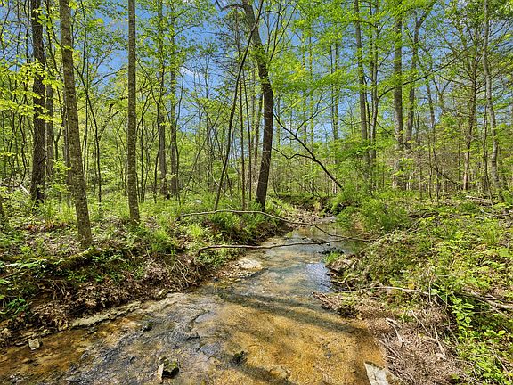 2nd image of 10924 Rials Branch Rd