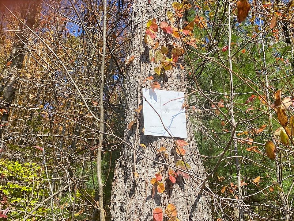 1st image of Nys Route 49 #Lot 1