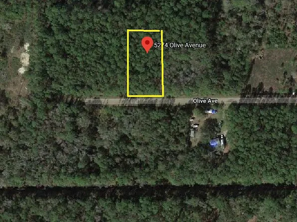 5274 Olive Ave, Bunnell, FL 32110