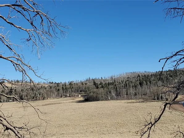 2422 Petito Drive LOT 2422, Fort Garland, CO 81133