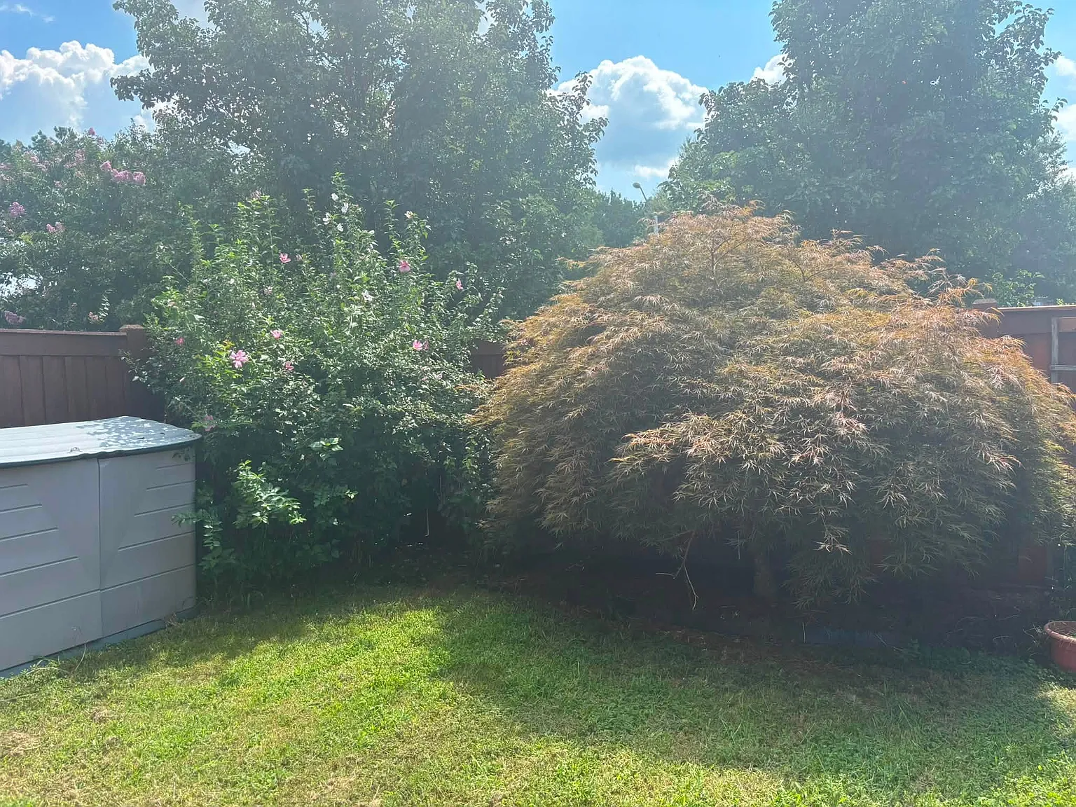 2 bed, 1920 sqft, $2,700 — Photo 3