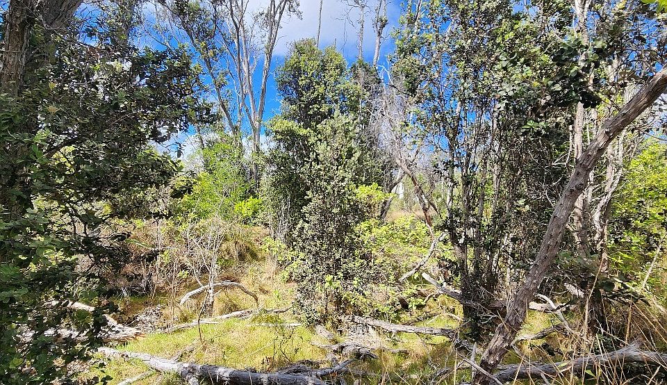 1st image of Ohia Dr Lot 36