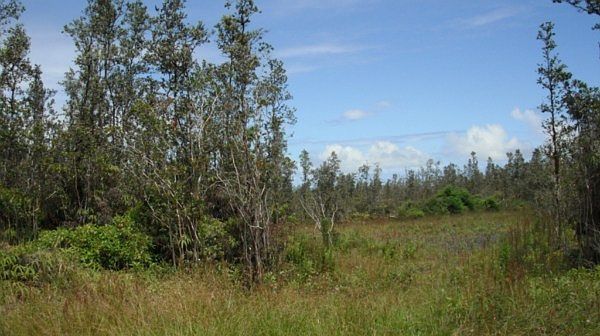 1st image of Road 5 Lot 4076