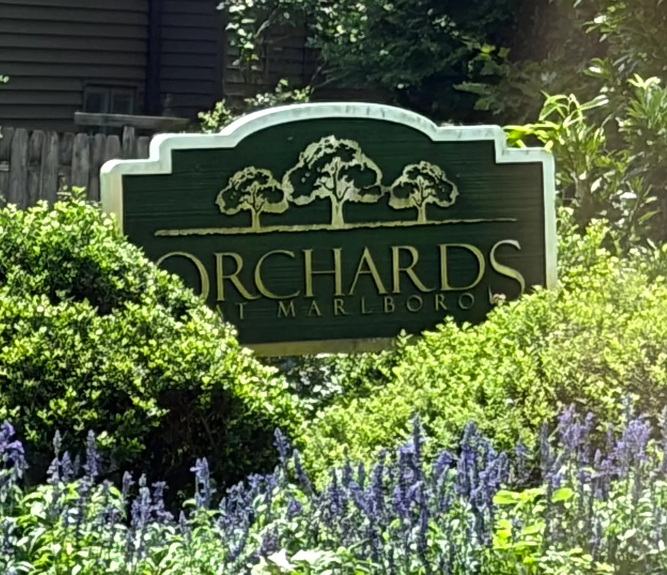 3 bed, 1745 sqft, $3,300 — Photo 1