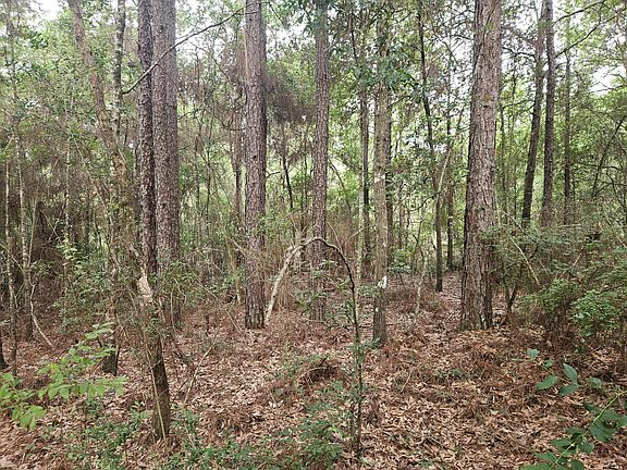 3rd image of Possum Ridge Rd