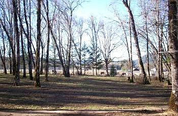 2nd image of 590 Sunny Glen Way