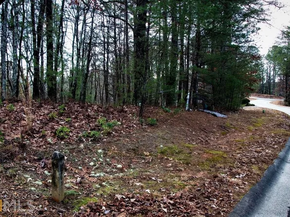 0 Zeppelin Strasse, Helen, GA 30545