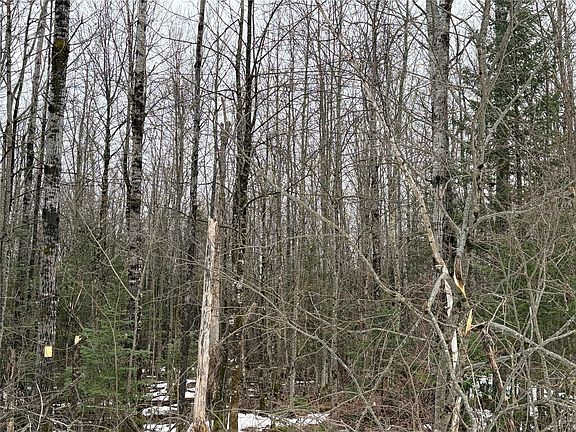 4th image of ON N Hofer Road