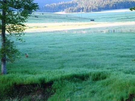 2nd image of Little Doe Acres