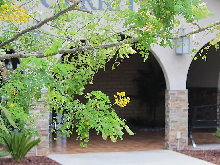 Vio Cerritos — Photo 7