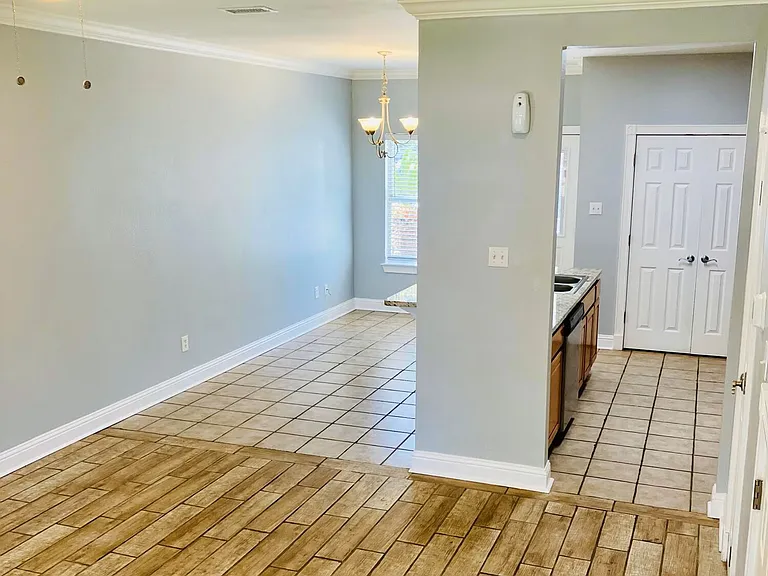 1338 Tropical Cv — Photo 8