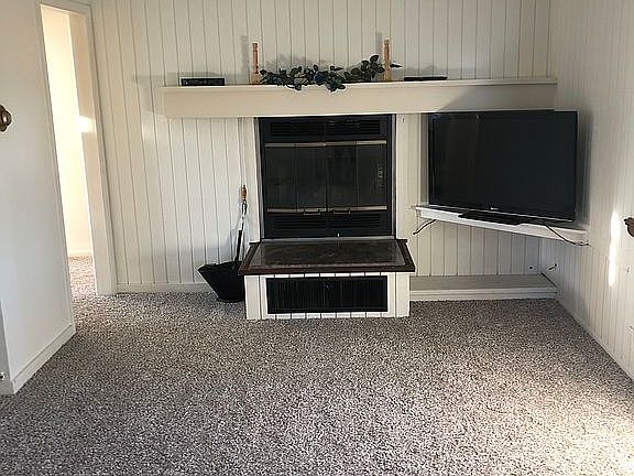 Wood burning fire place 
