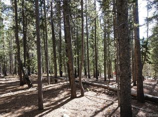 0 Loch Lomond Rd, Idaho Springs, CO 80452